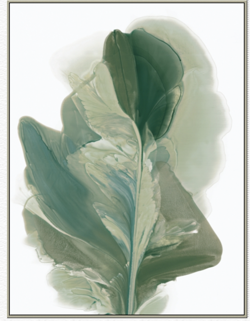 Botanical Flair I Canvas Giclee - 30 x 40