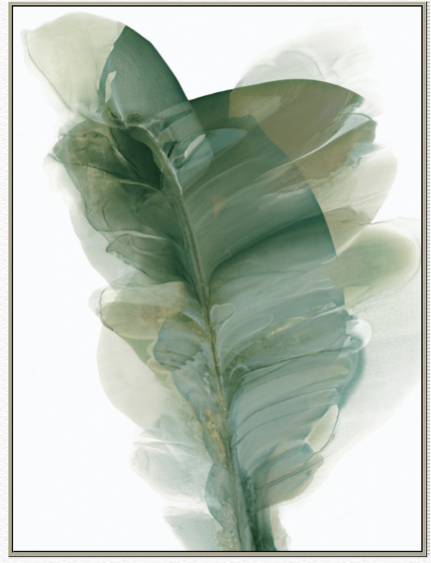 Botanical Flair II Canvas Giclee - 30 x 40