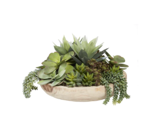 17" Sedona Wood Bowl with Mixed Succulents