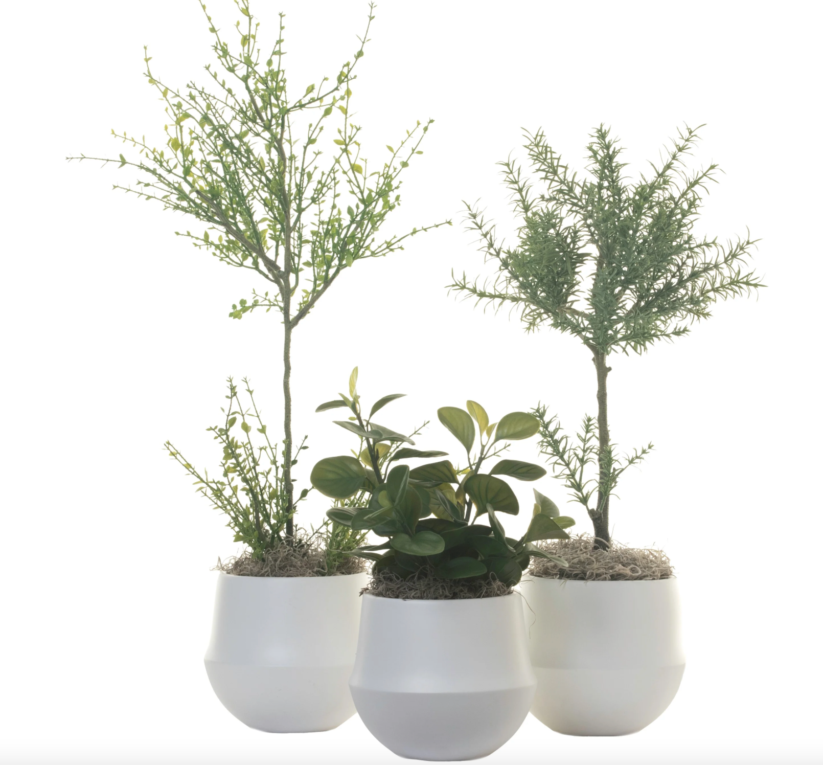 6" Pot Trio