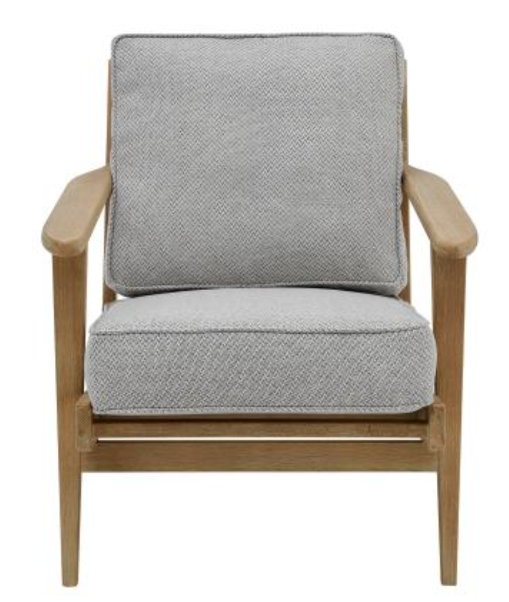 Tyler Fabric Accent Arm Chair Brushed Smoke Frame - Gray